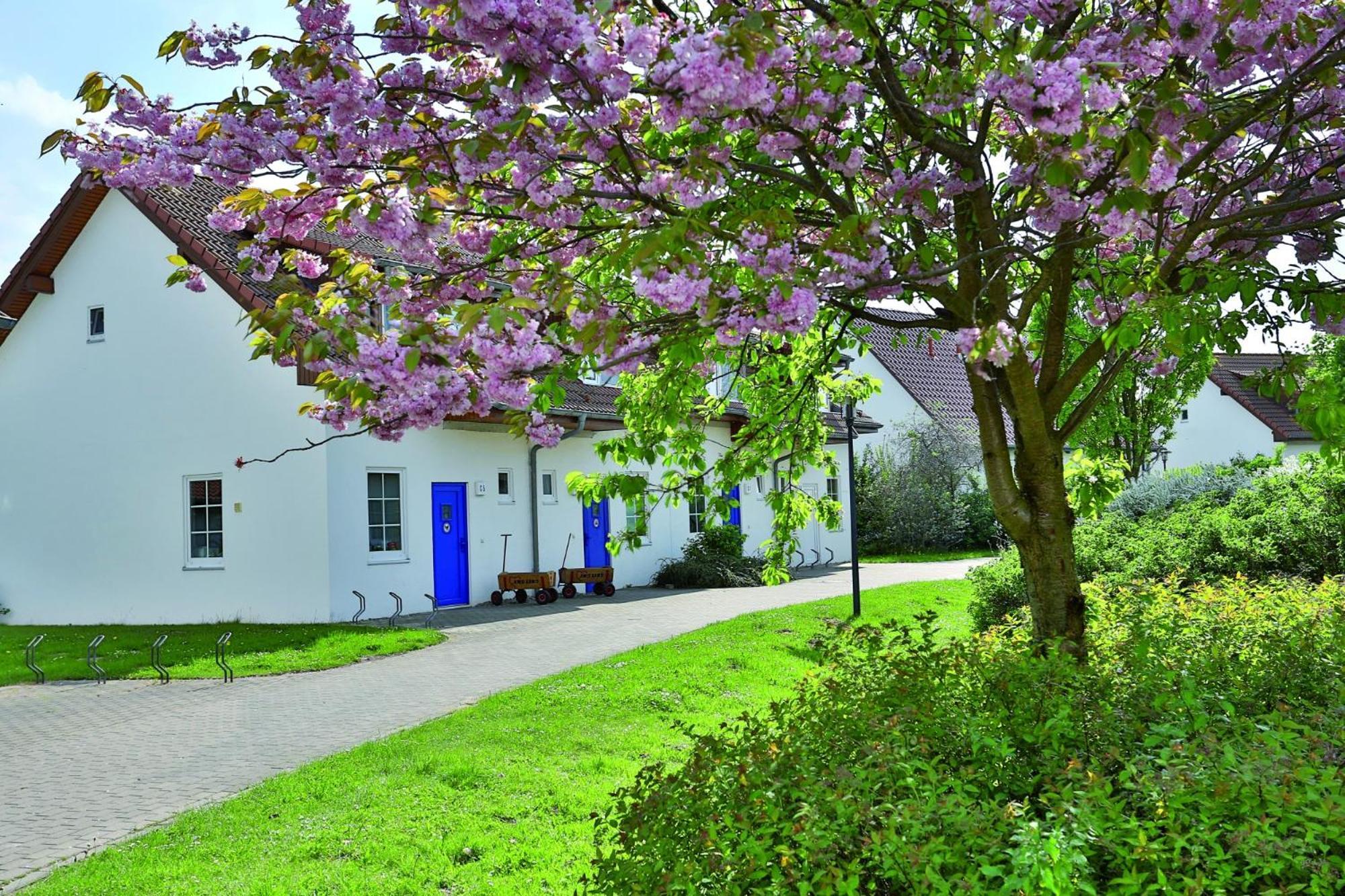 Feriendorf เรลิค ภายนอก รูปภาพ